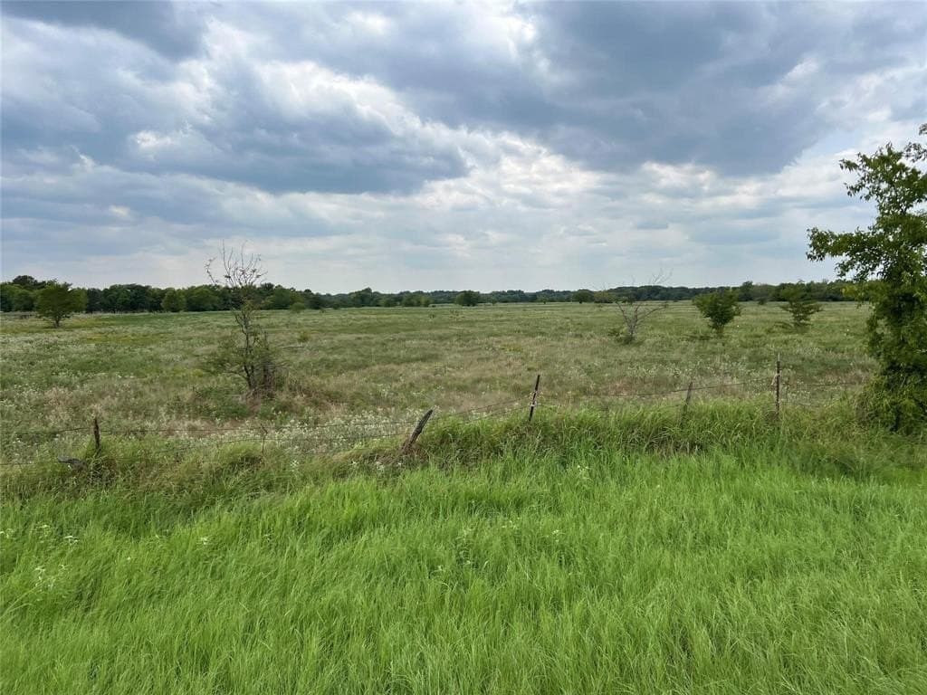 53.45 acres in Hunt County gallery image 3