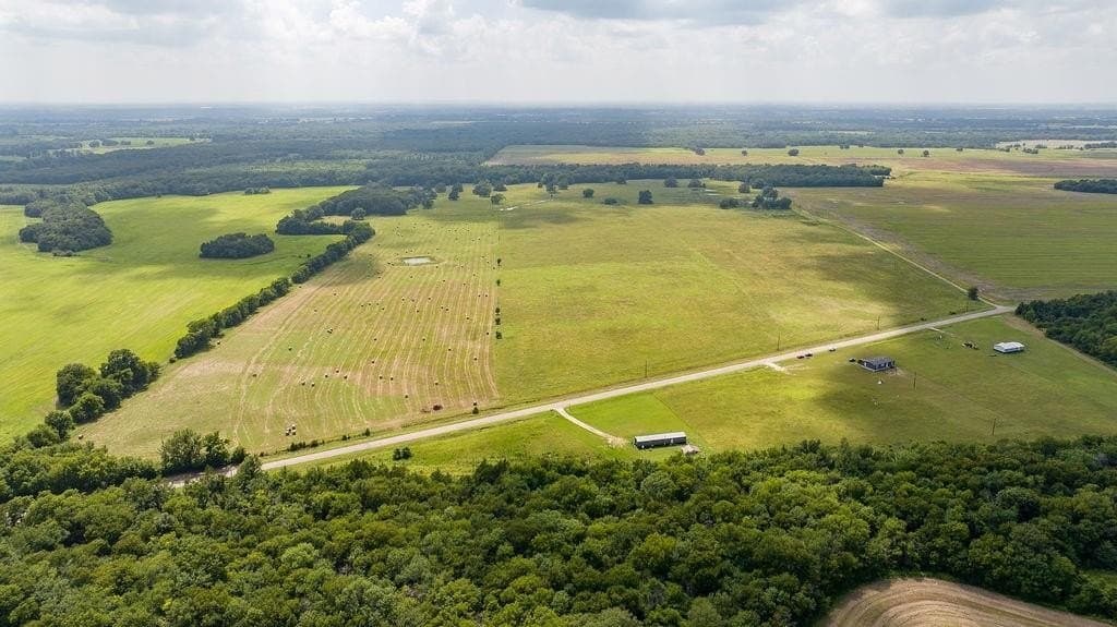 10.01 acres in Lamar County gallery image 4