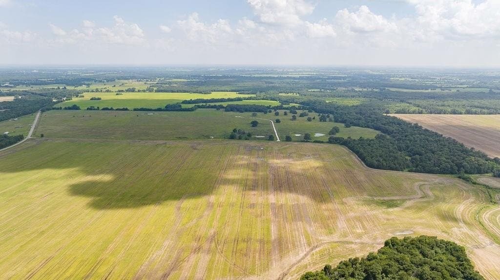 10.01 acres in Lamar County gallery image 2
