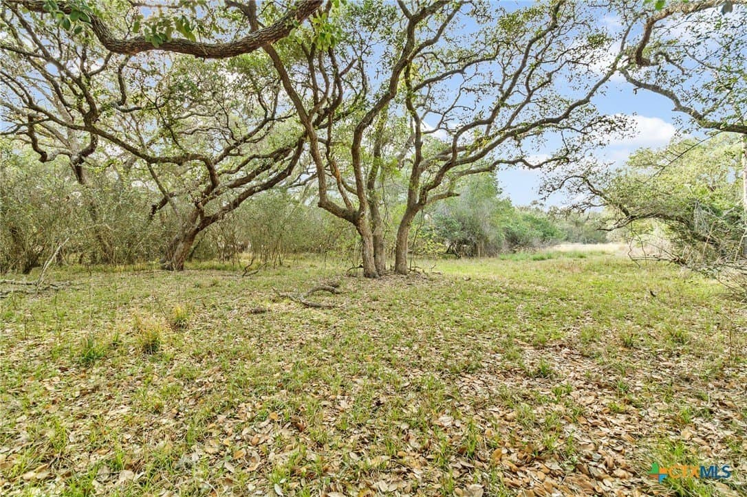 14.33 acres in Jackson County - photo 8