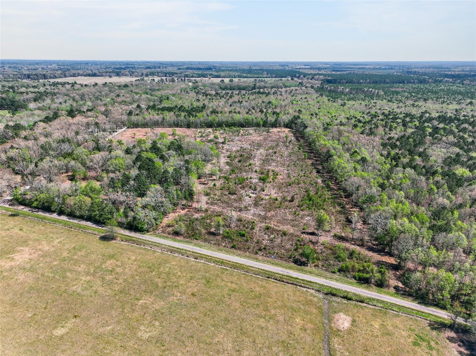 14.28 acres in Bowie County gallery image 2