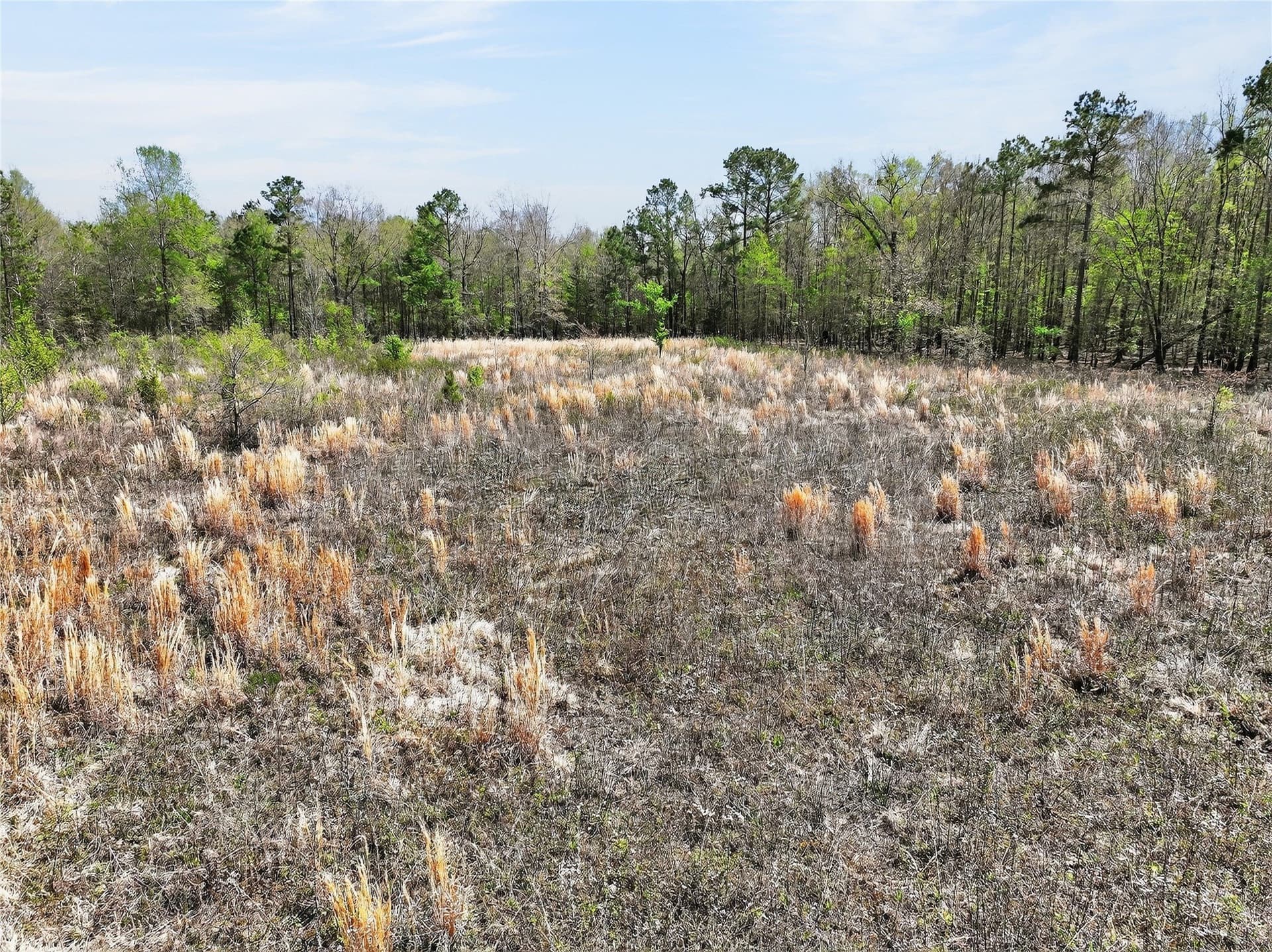 14.28 acres in Bowie County featured view
