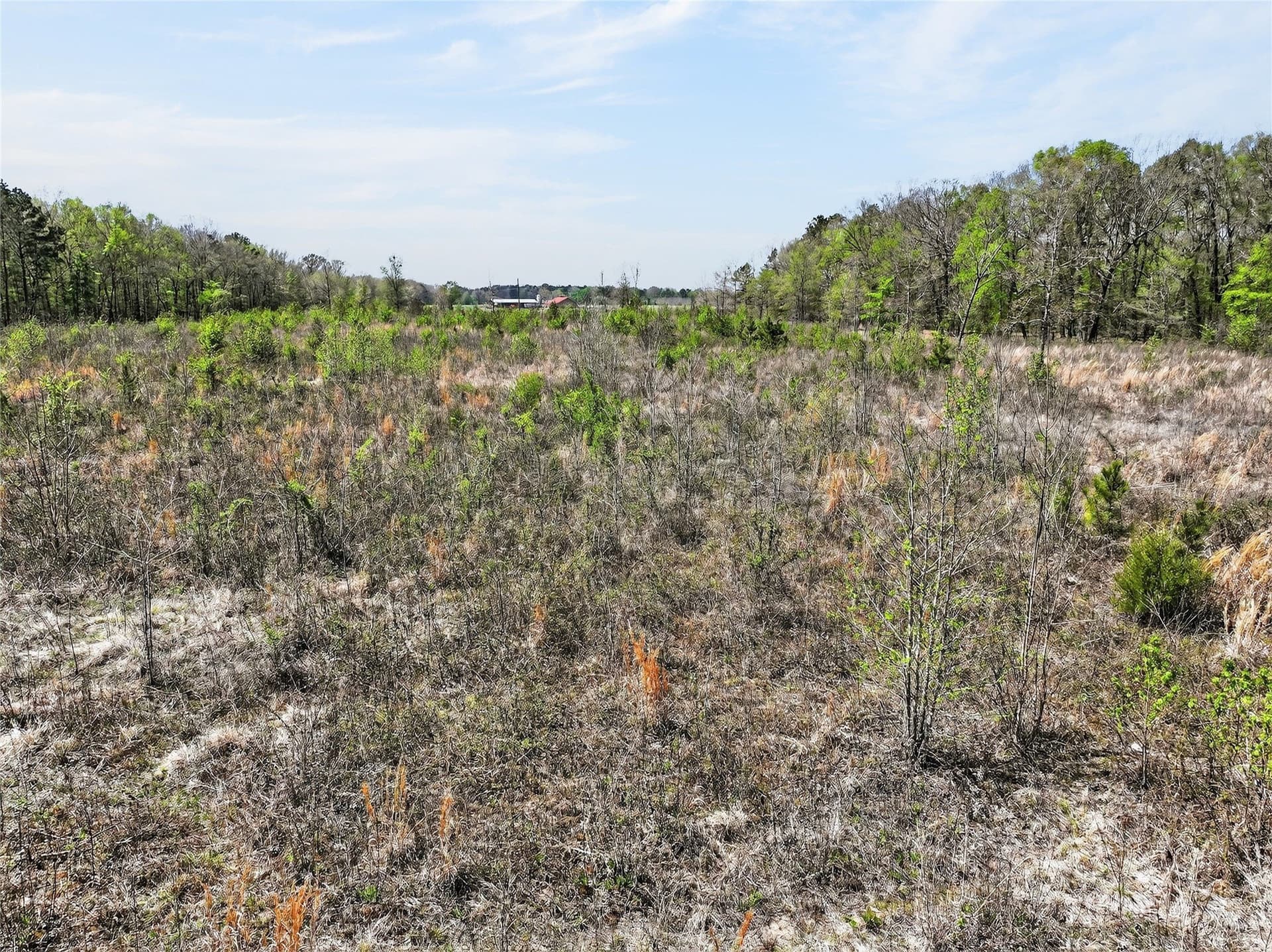 14.28 acres in Bowie County gallery image 3