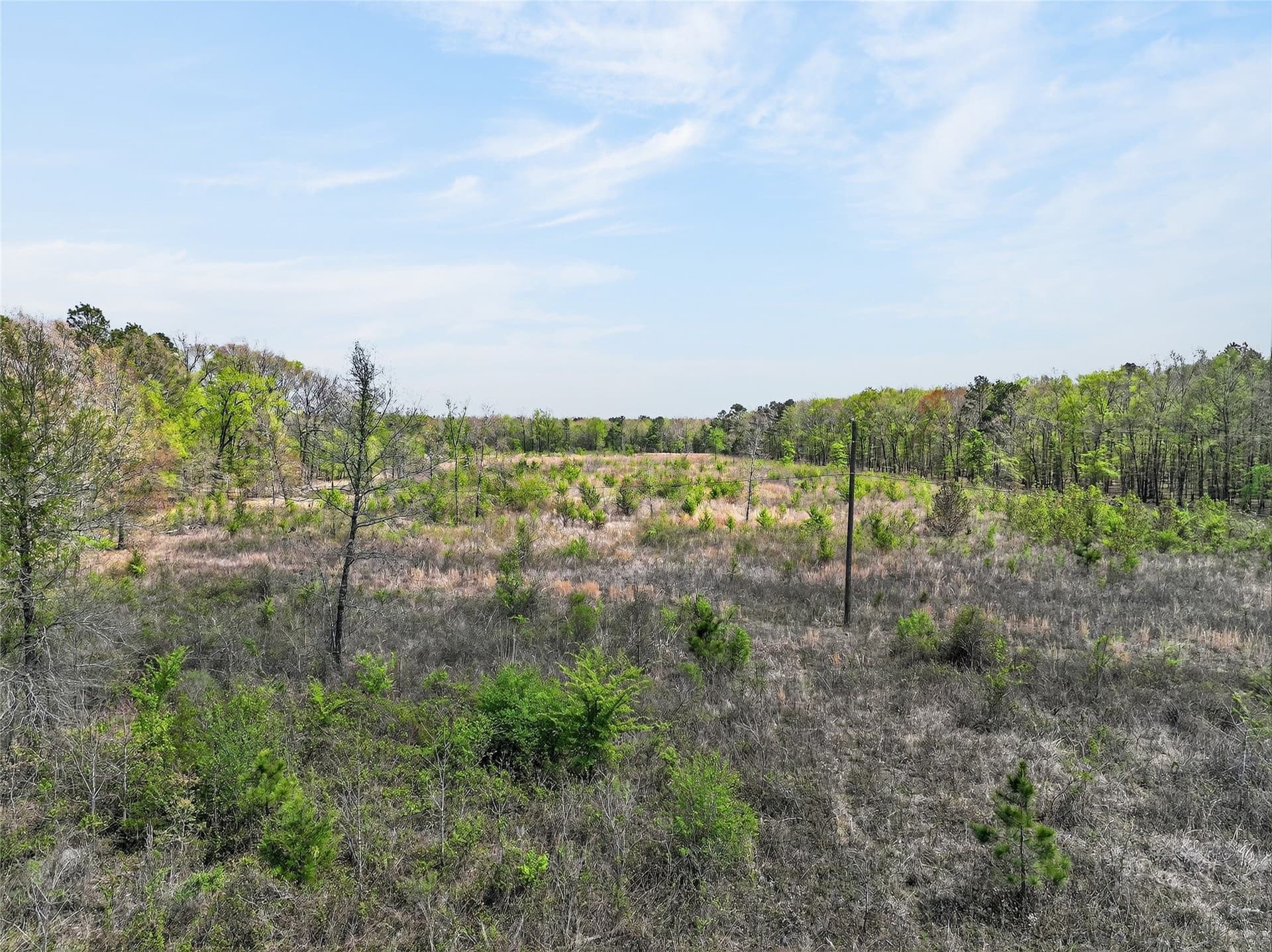 14.28 acres in Bowie County - photo 7