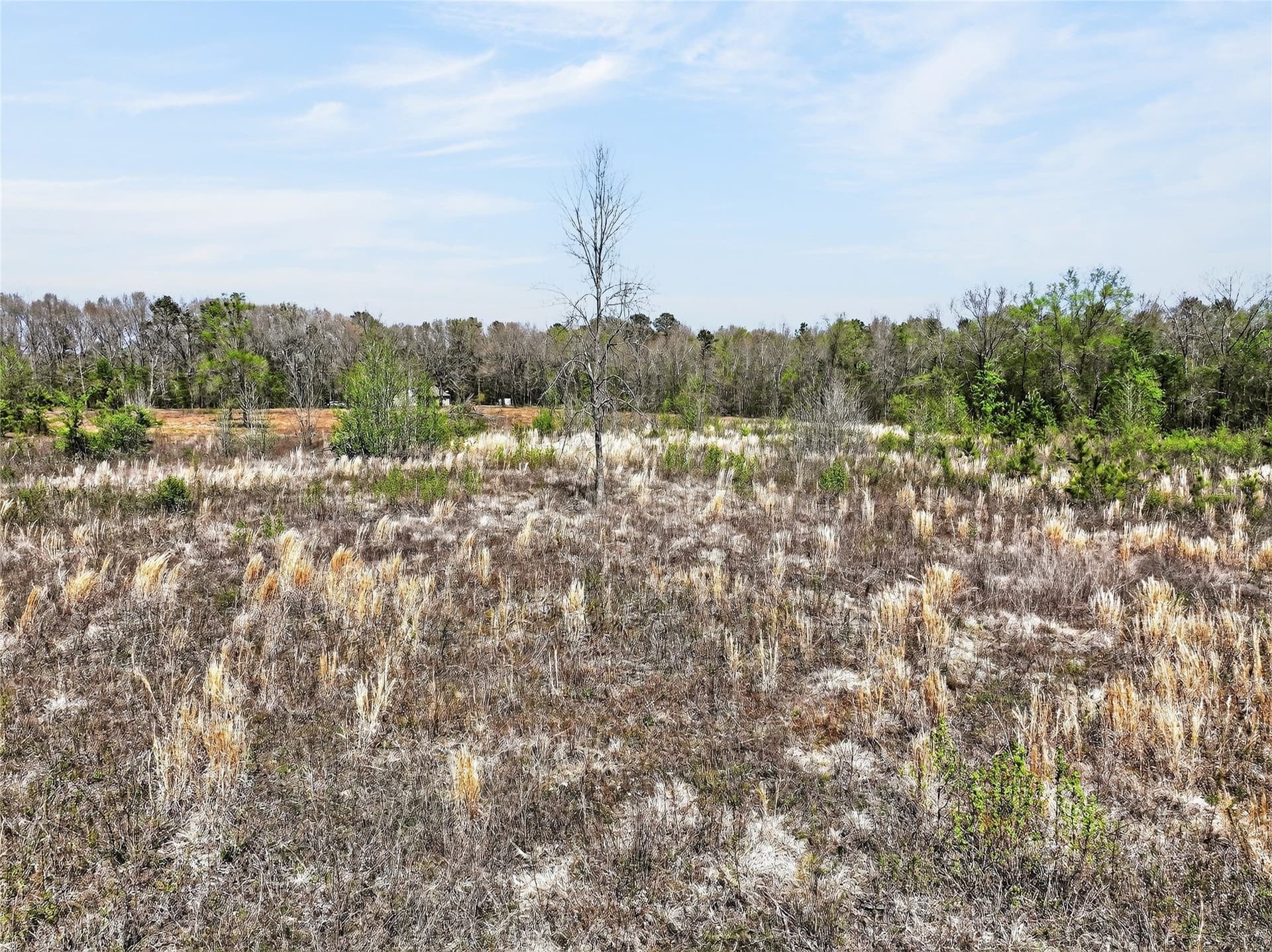 14.28 acres in Bowie County - photo 6