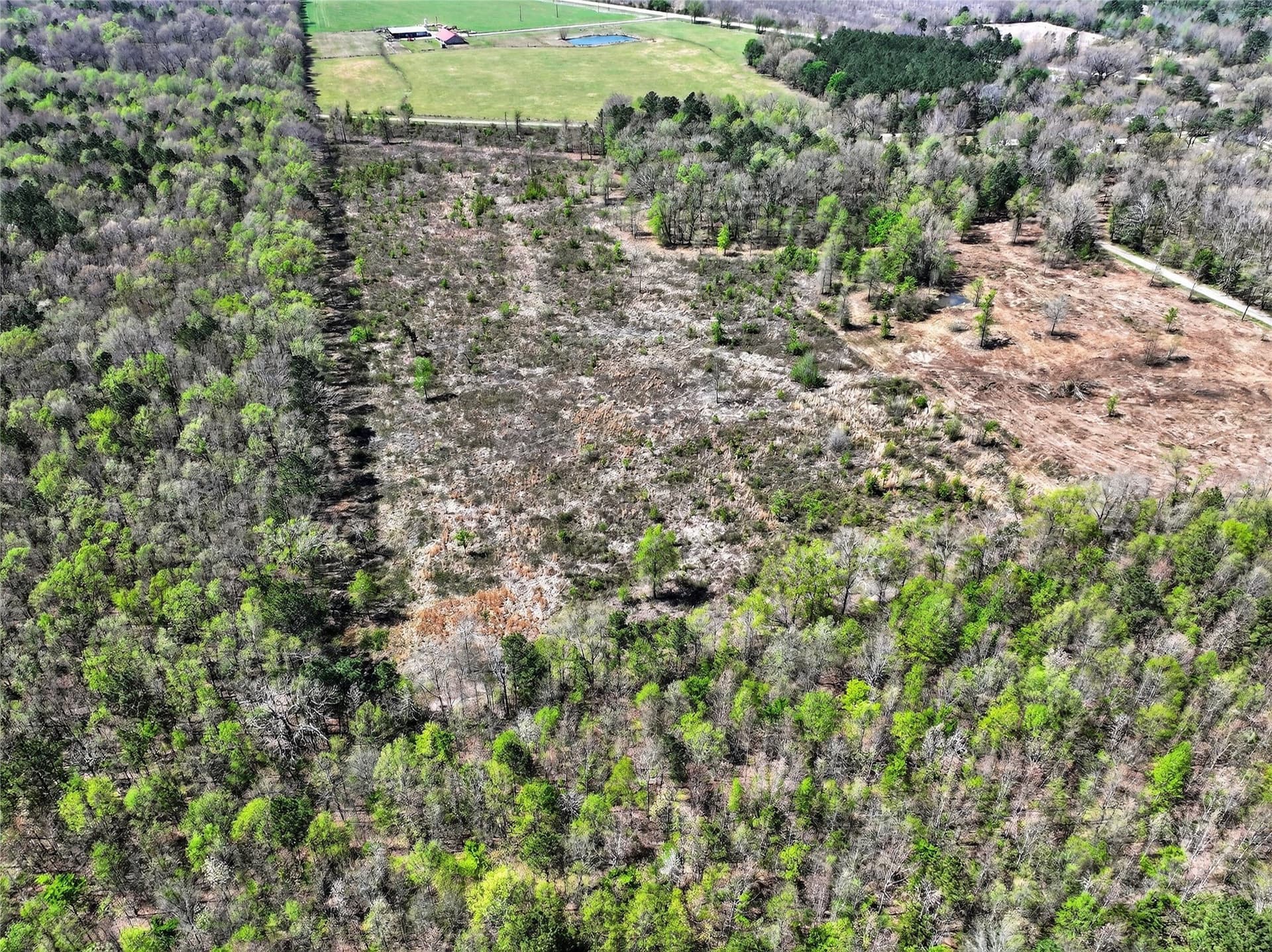 14.28 acres in Bowie County - photo 8