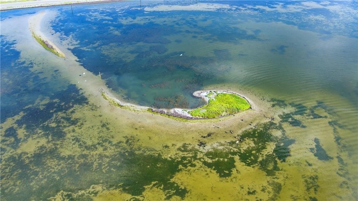 22.46 acres in Nueces County - photo 17