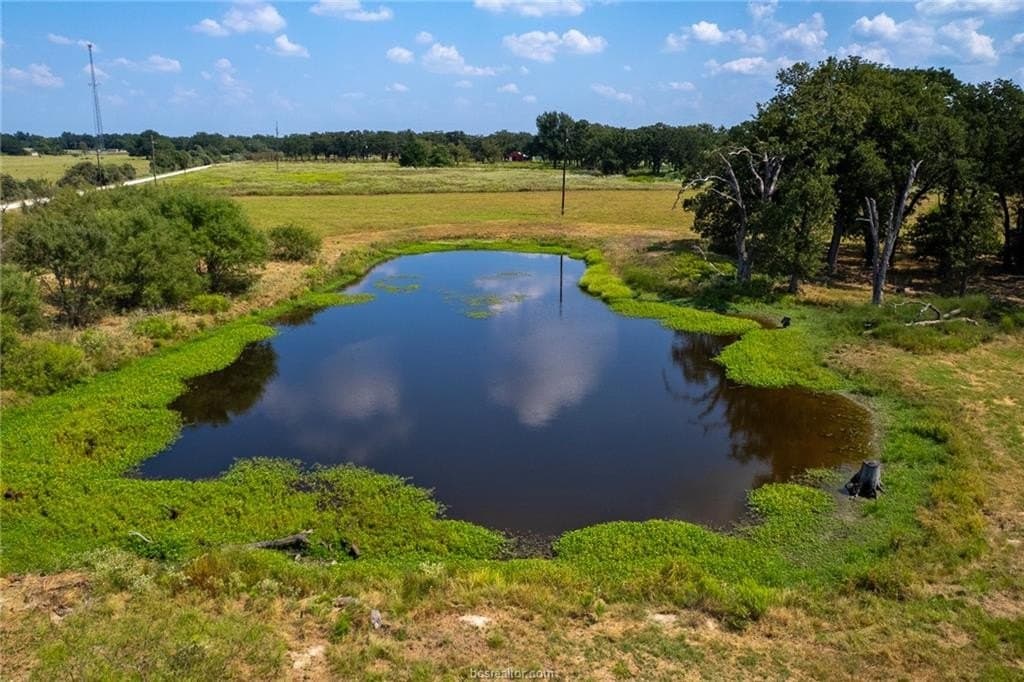 21.61 acres in Robertson County - photo 23