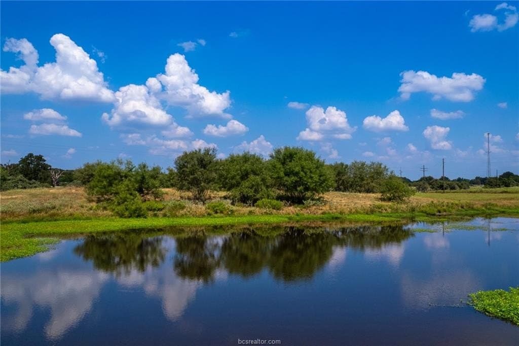 21.61 acres in Robertson County - photo 27