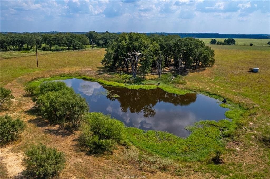 21.61 acres in Robertson County - photo 24