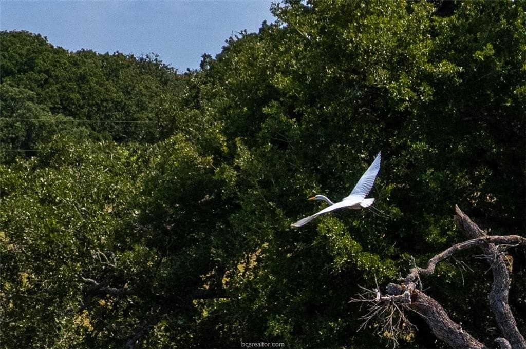 21.61 acres in Robertson County - photo 31