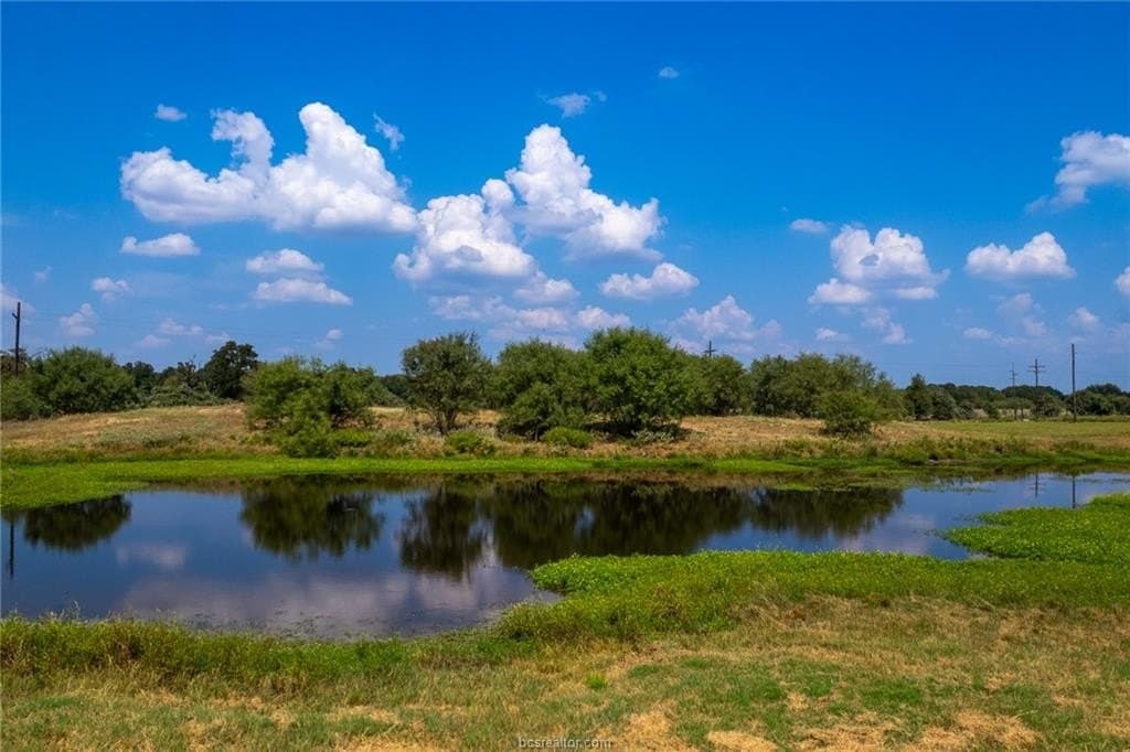 21.61 acres in Robertson County - photo 26