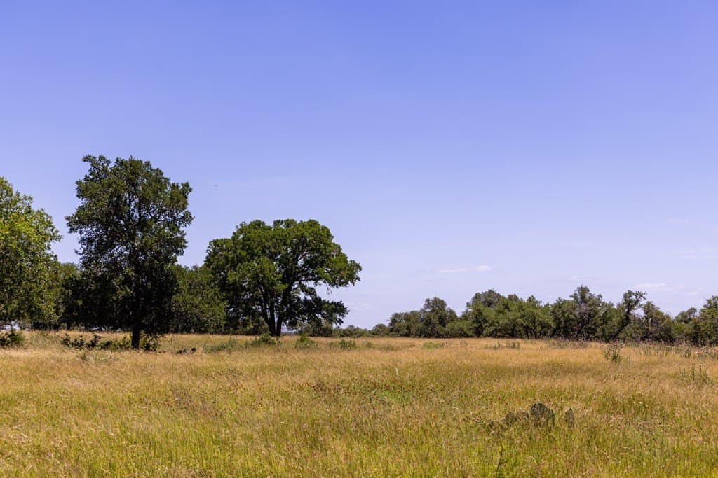 21.25 acres in Kerr County gallery image 4