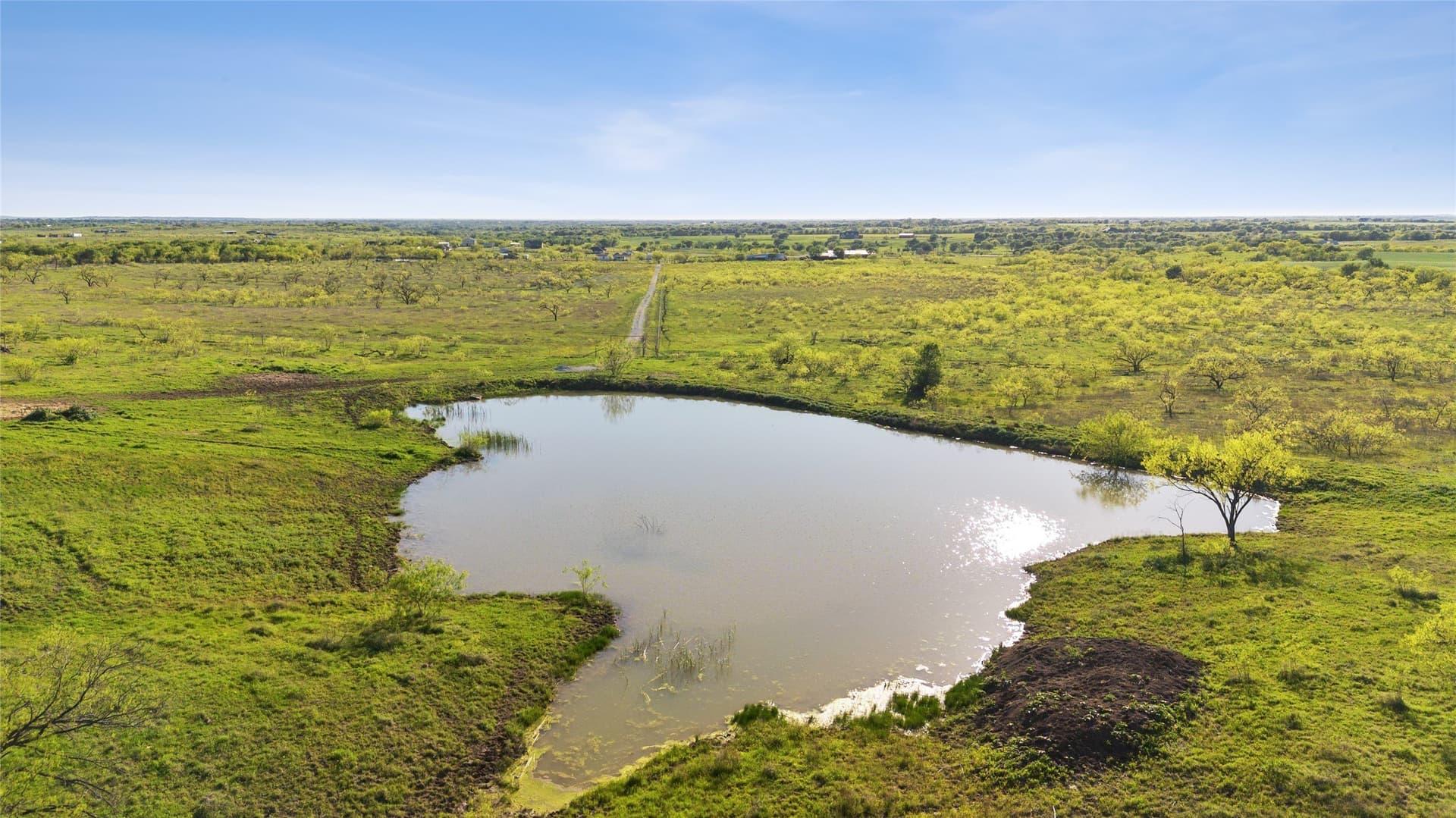 135.87 acres in Ellis County - photo 5