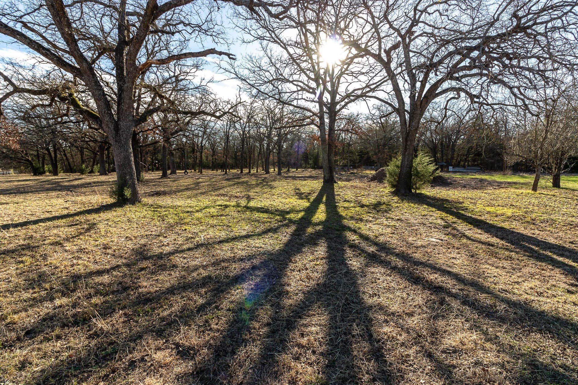 3.55 acres in Kaufman County gallery image 2