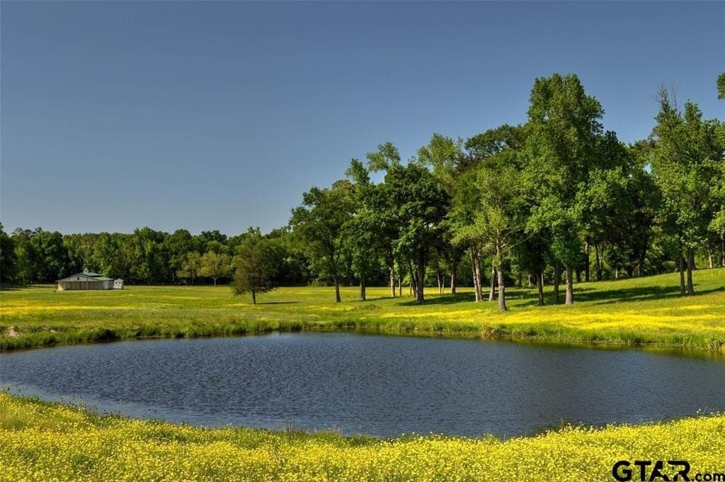 64.33 acres in Upshur County - photo 24