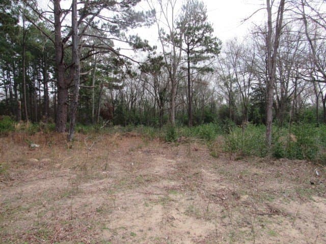 7.9 acres in ANDERSON County gallery image 2