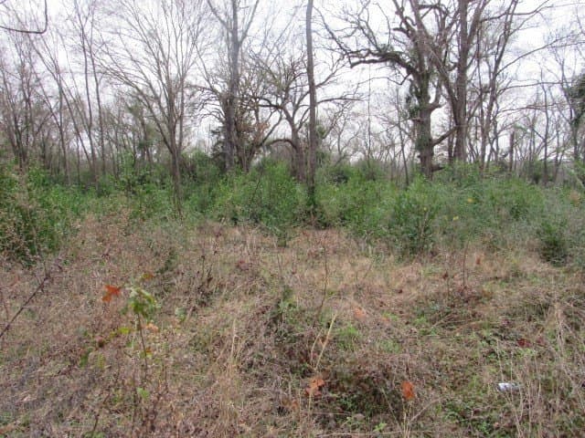 7.9 acres in ANDERSON County gallery image 4