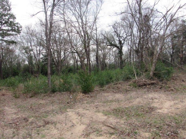 7.9 acres in ANDERSON County gallery image 3