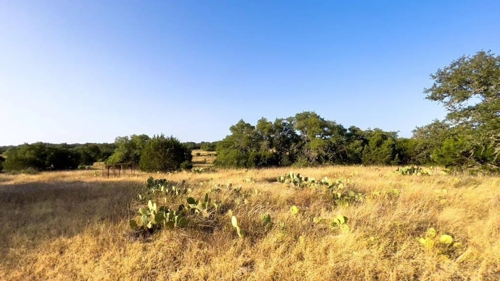 101 acres in Kerr County - photo 7