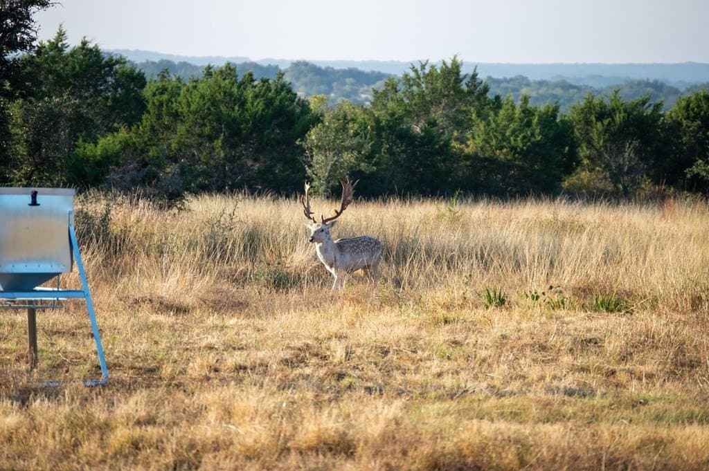 101 acres in Kerr County - photo 13