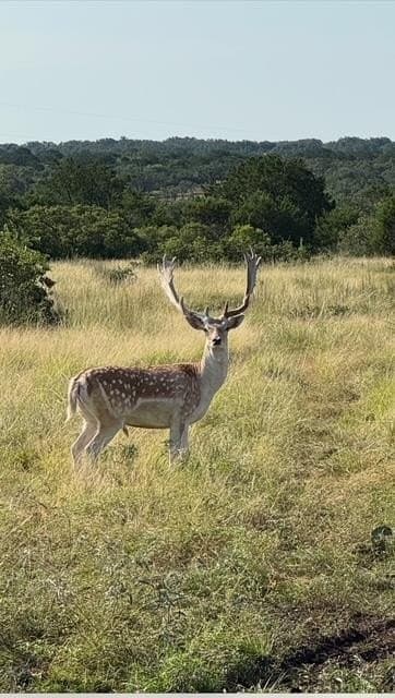 101 acres in Kerr County