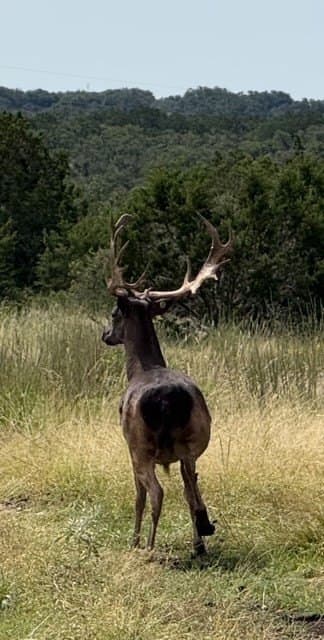 101 acres in Kerr County - photo 11
