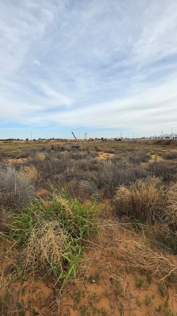 1.01 acres in Midland County - photo 9