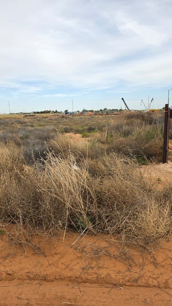1.01 acres in Midland County - photo 8