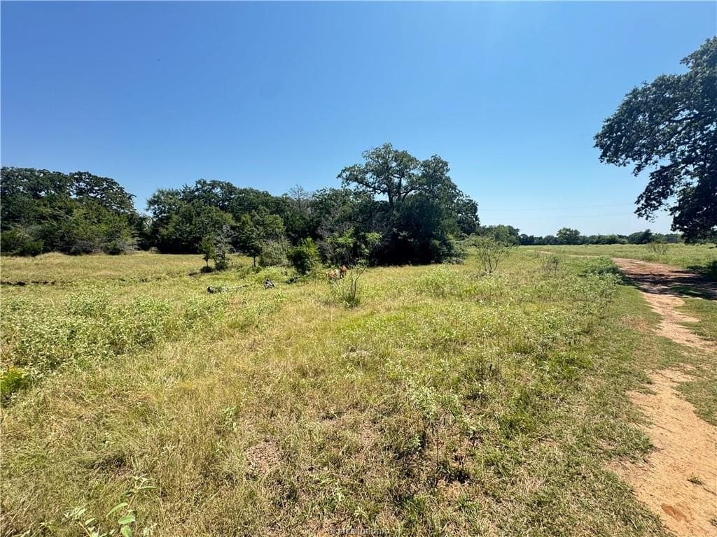 10 acres in Brazos County gallery image 3