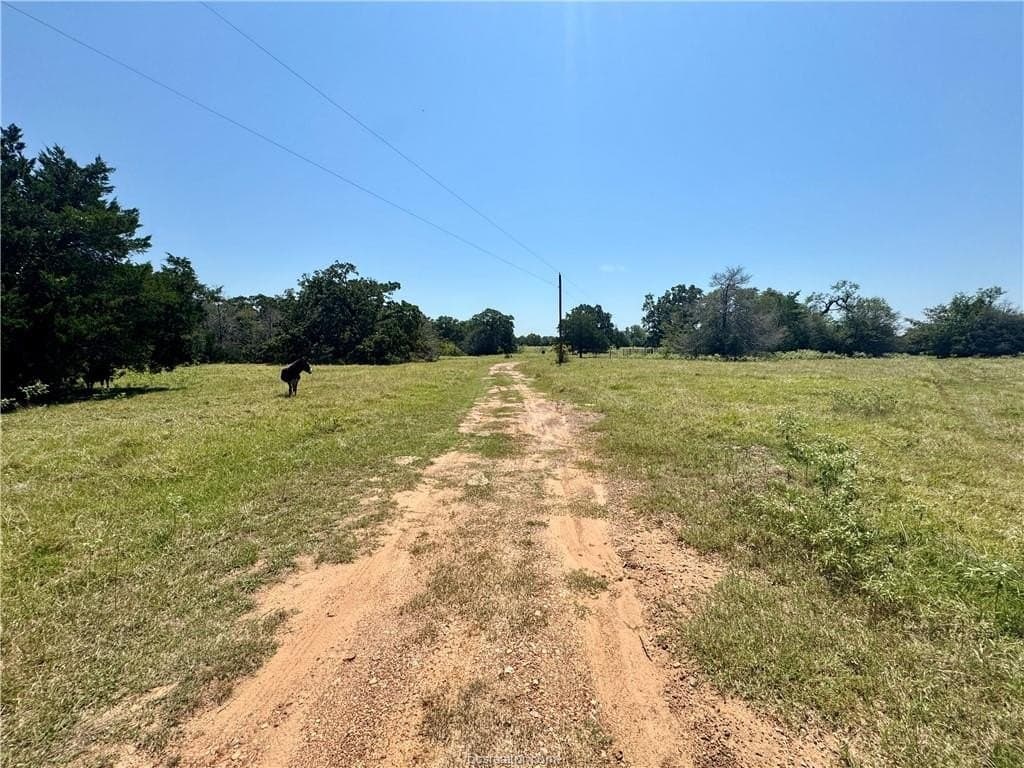 10 acres in Brazos County gallery image 2