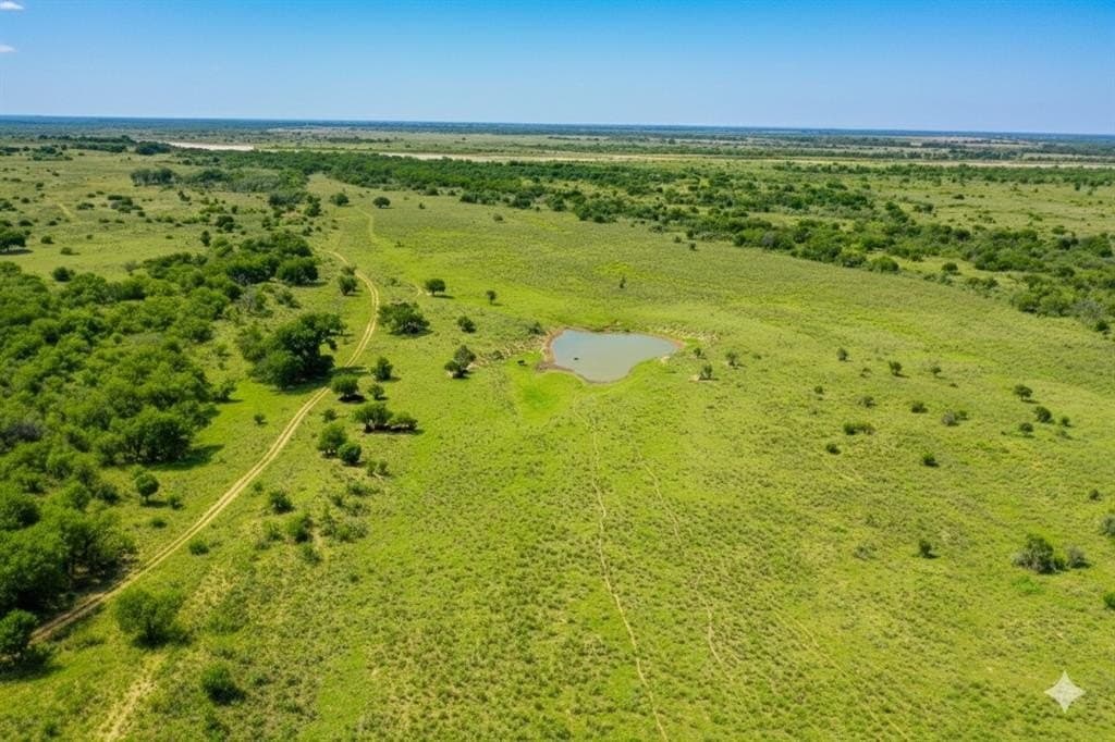 929.5 acres in Wilbarger County gallery image 3