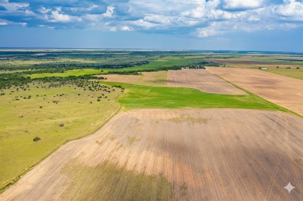 929.5 acres in Wilbarger County gallery image 4
