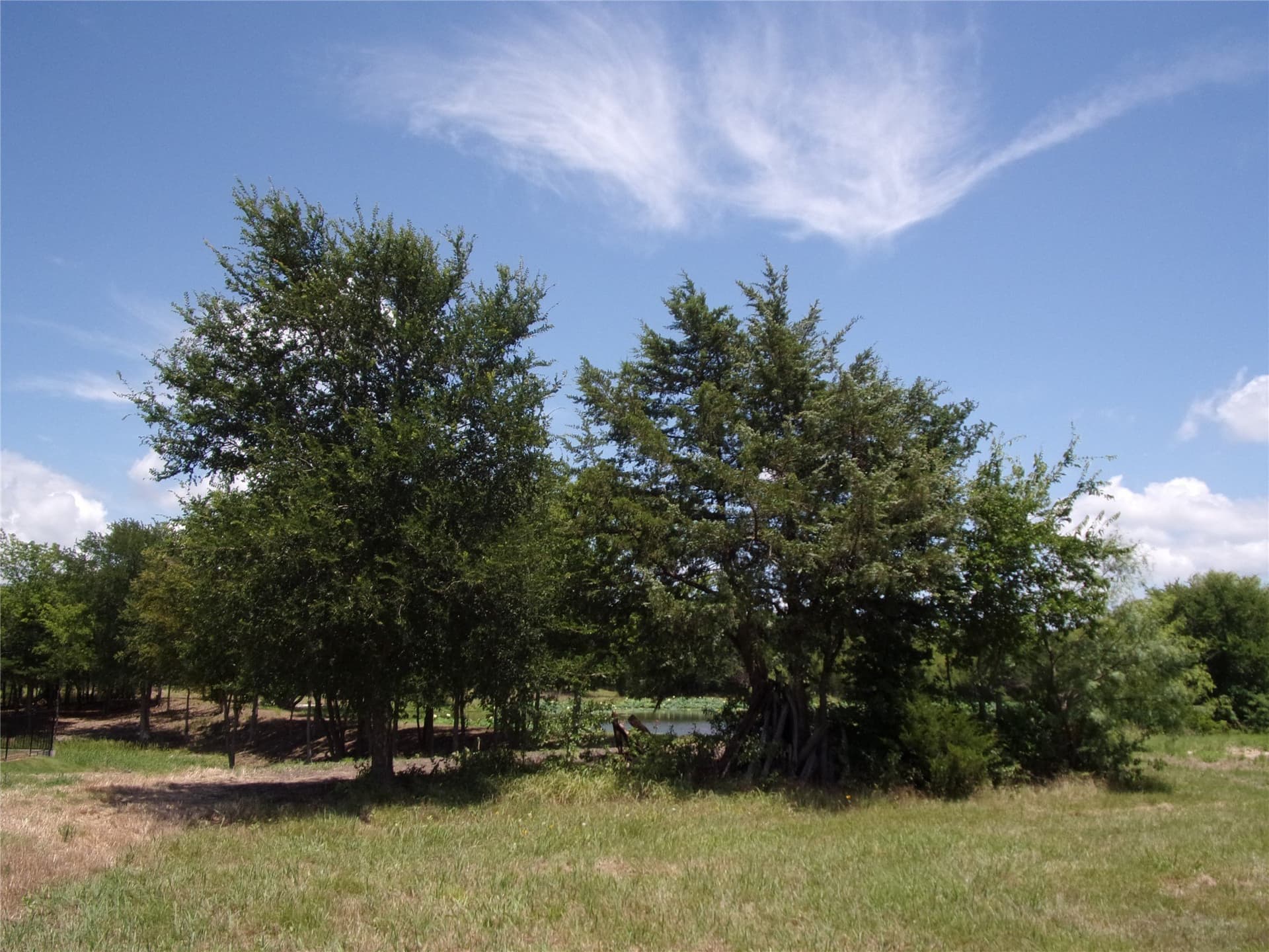 1.08 acres in Hunt County - photo 13