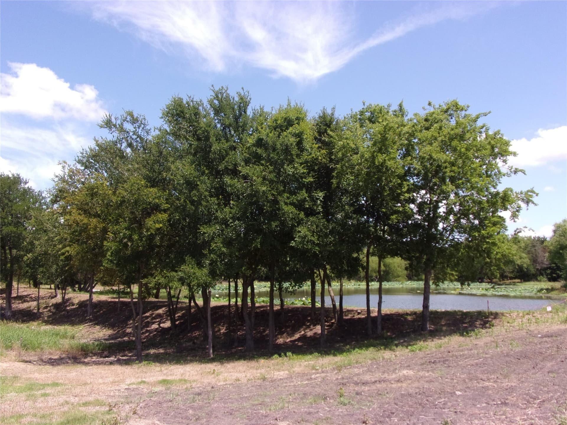 1.08 acres in Hunt County - photo 7
