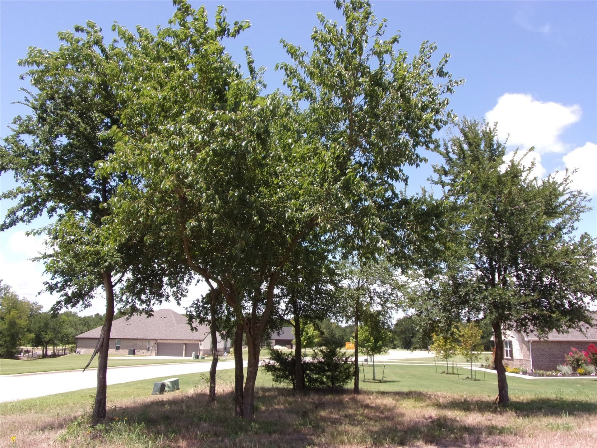 1.08 acres in Hunt County - photo 11