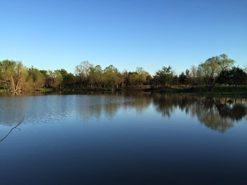 1.08 acres in Hunt County - photo 6