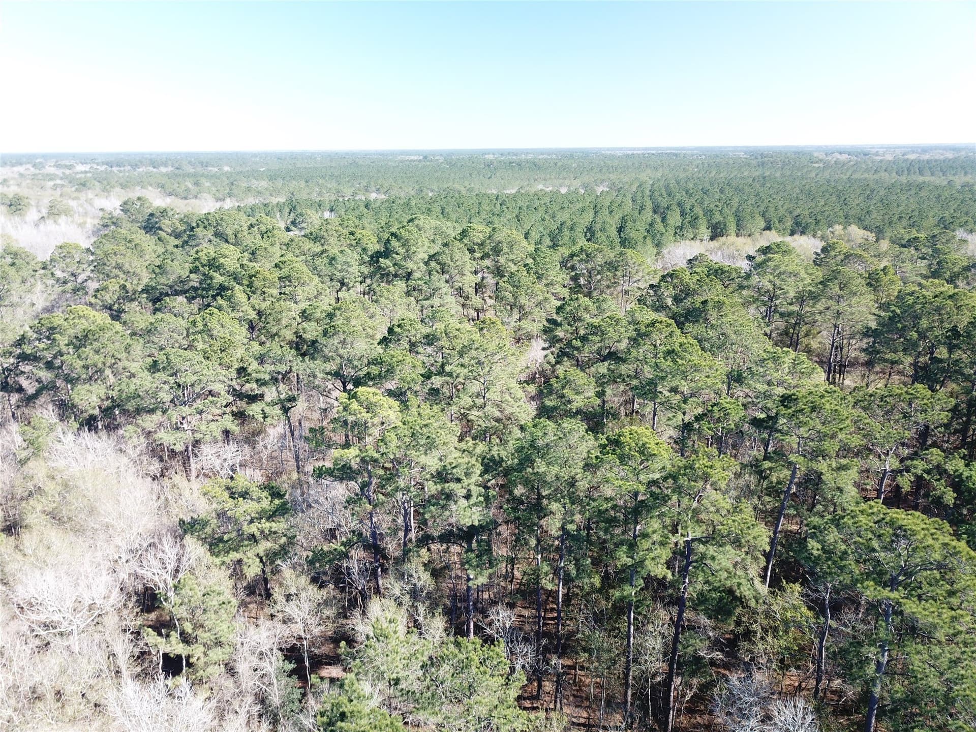 791 acres in Orange County - photo 10