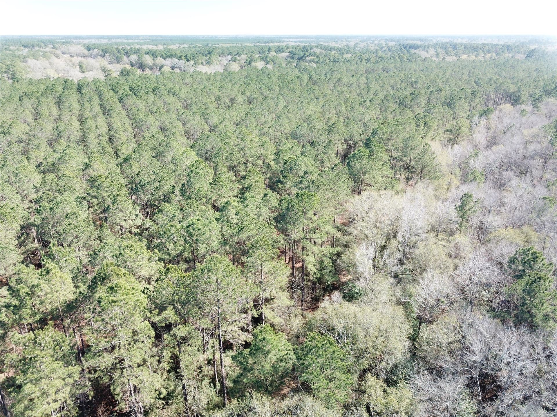 791 acres in Orange County - photo 16