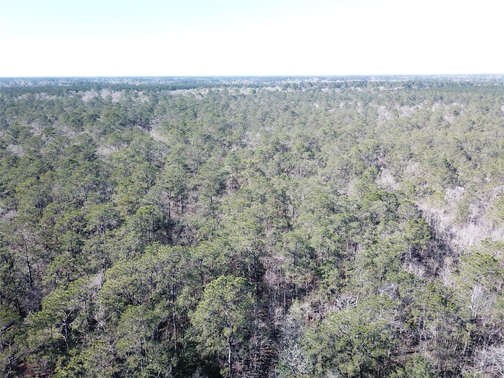791 acres in Orange County - photo 20