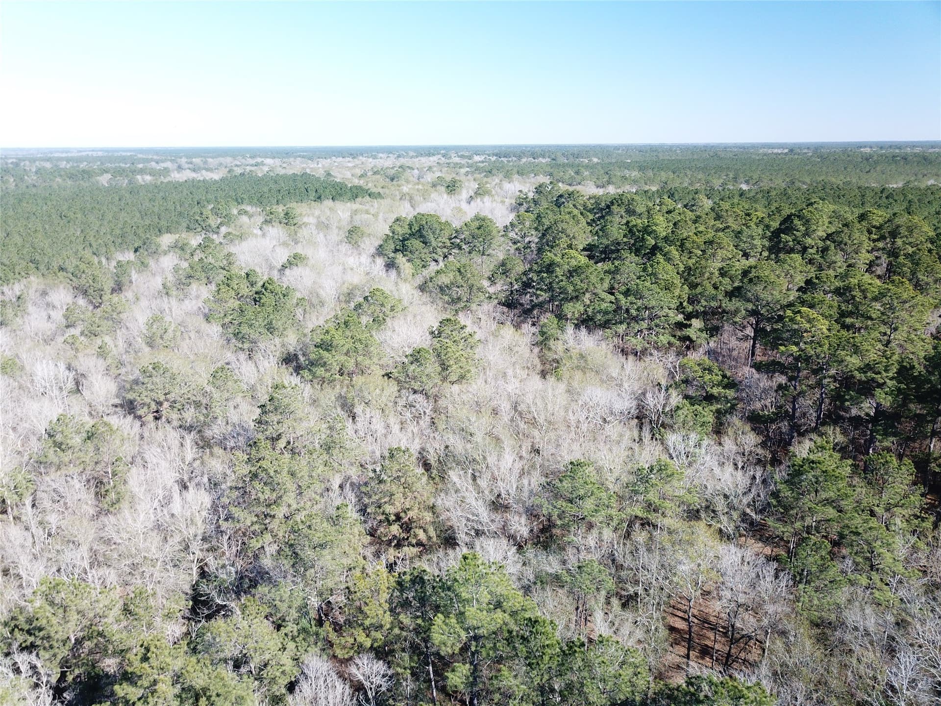 791 acres in Orange County - photo 9