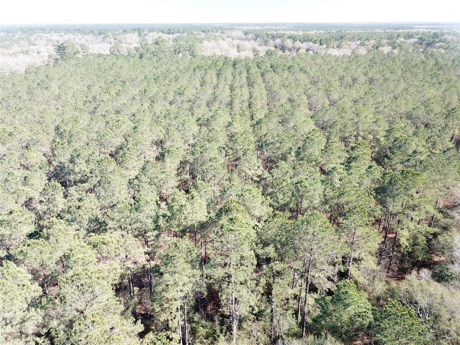 791 acres in Orange County - photo 15