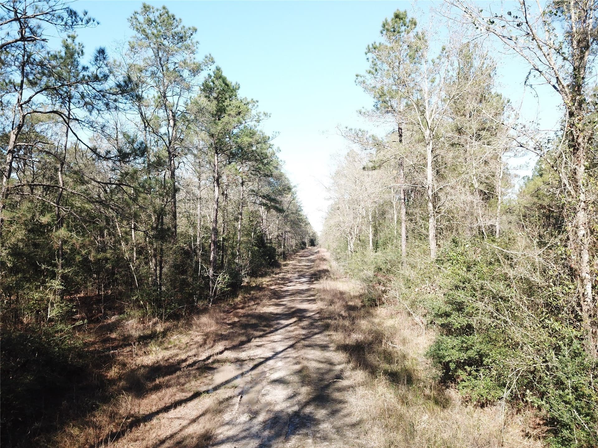 791 acres in Orange County - photo 31