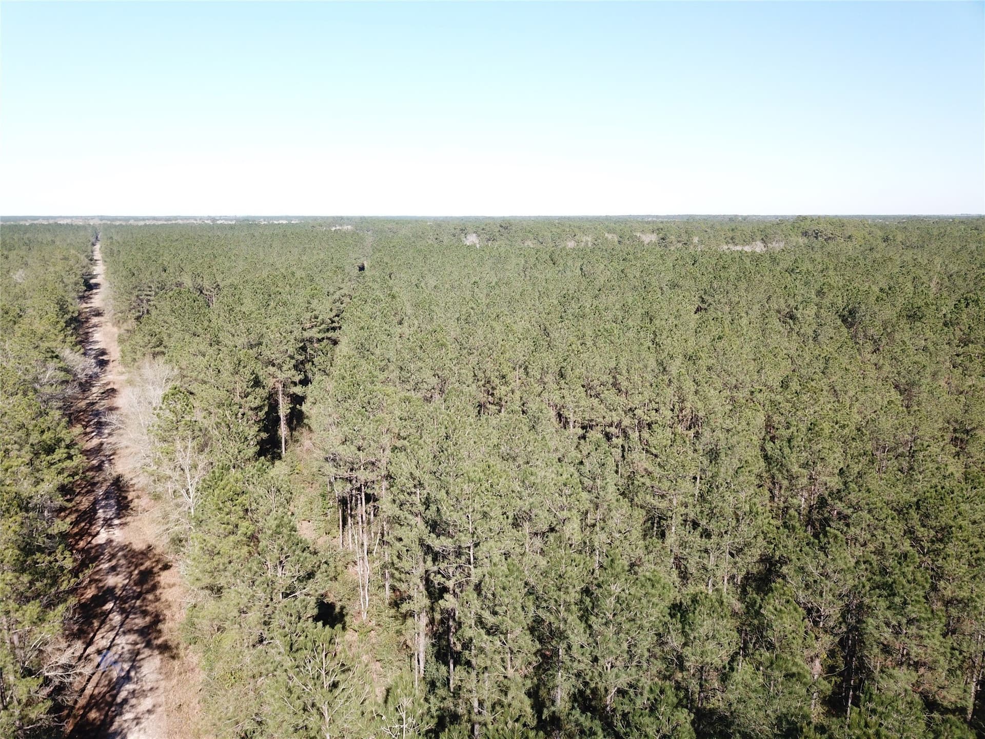 791 acres in Orange County - photo 19