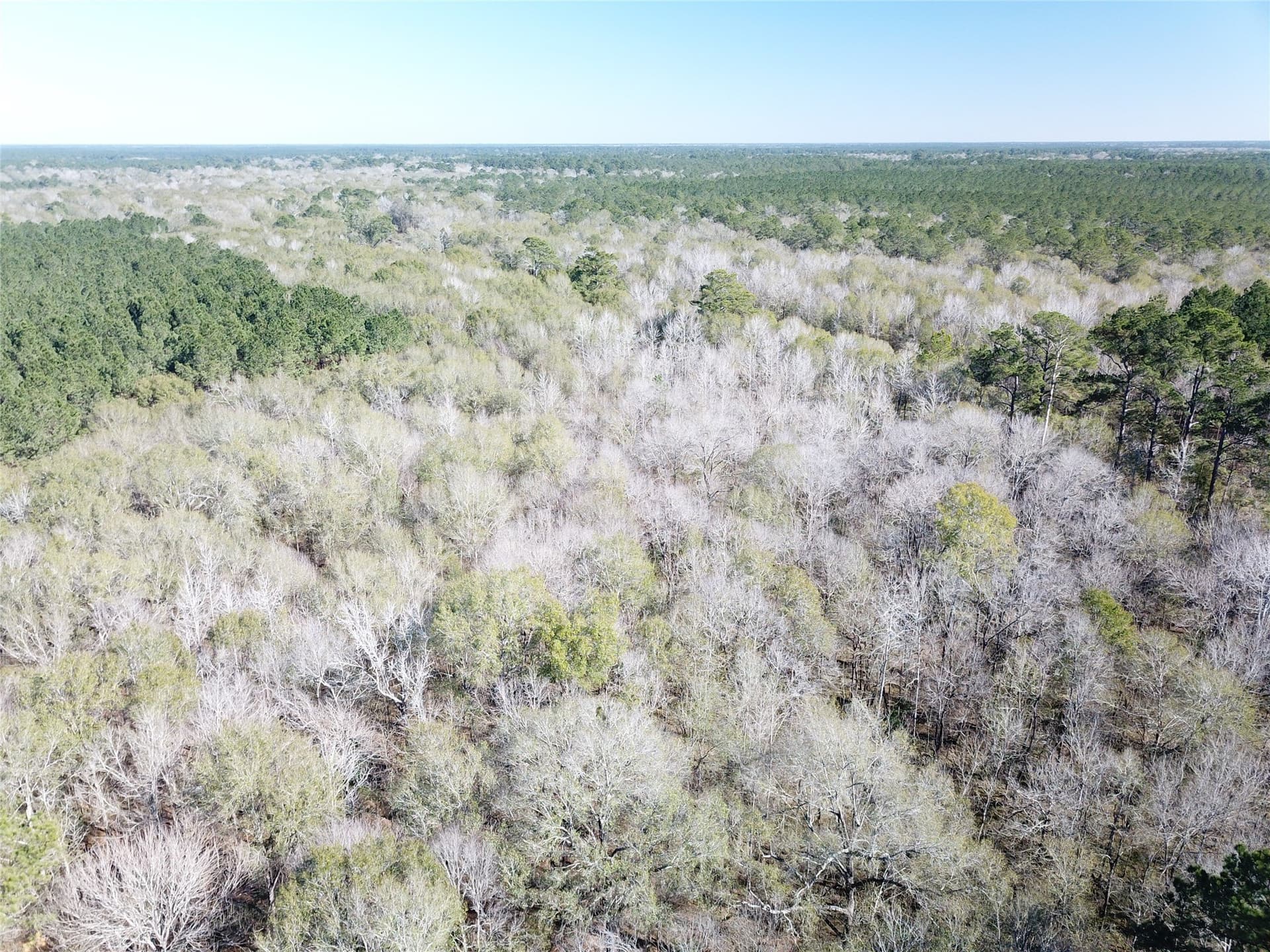 791 acres in Orange County - photo 11