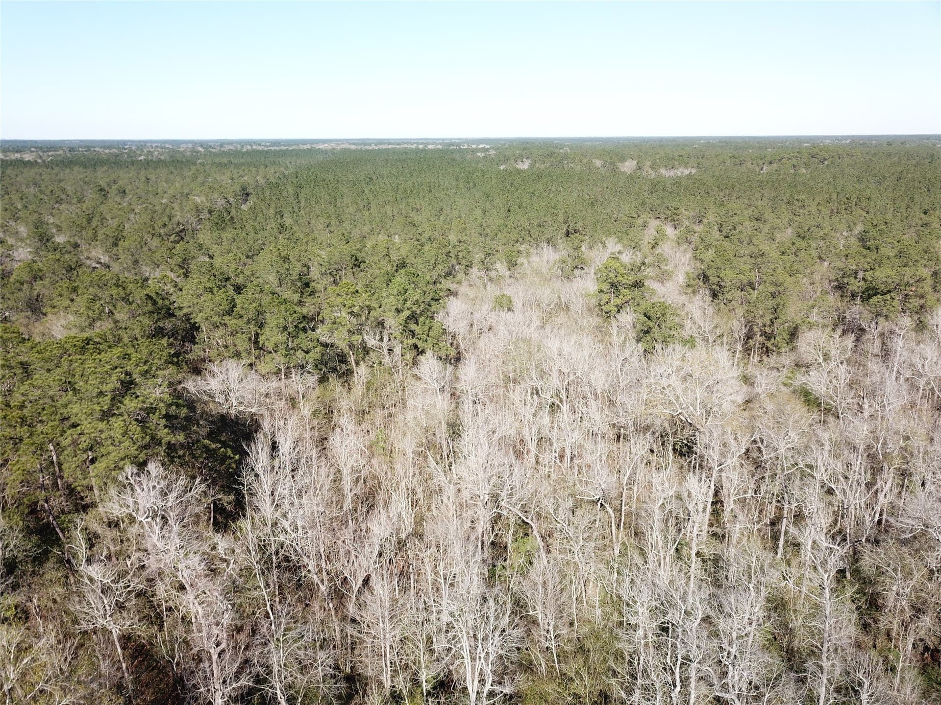 791 acres in Orange County - photo 26