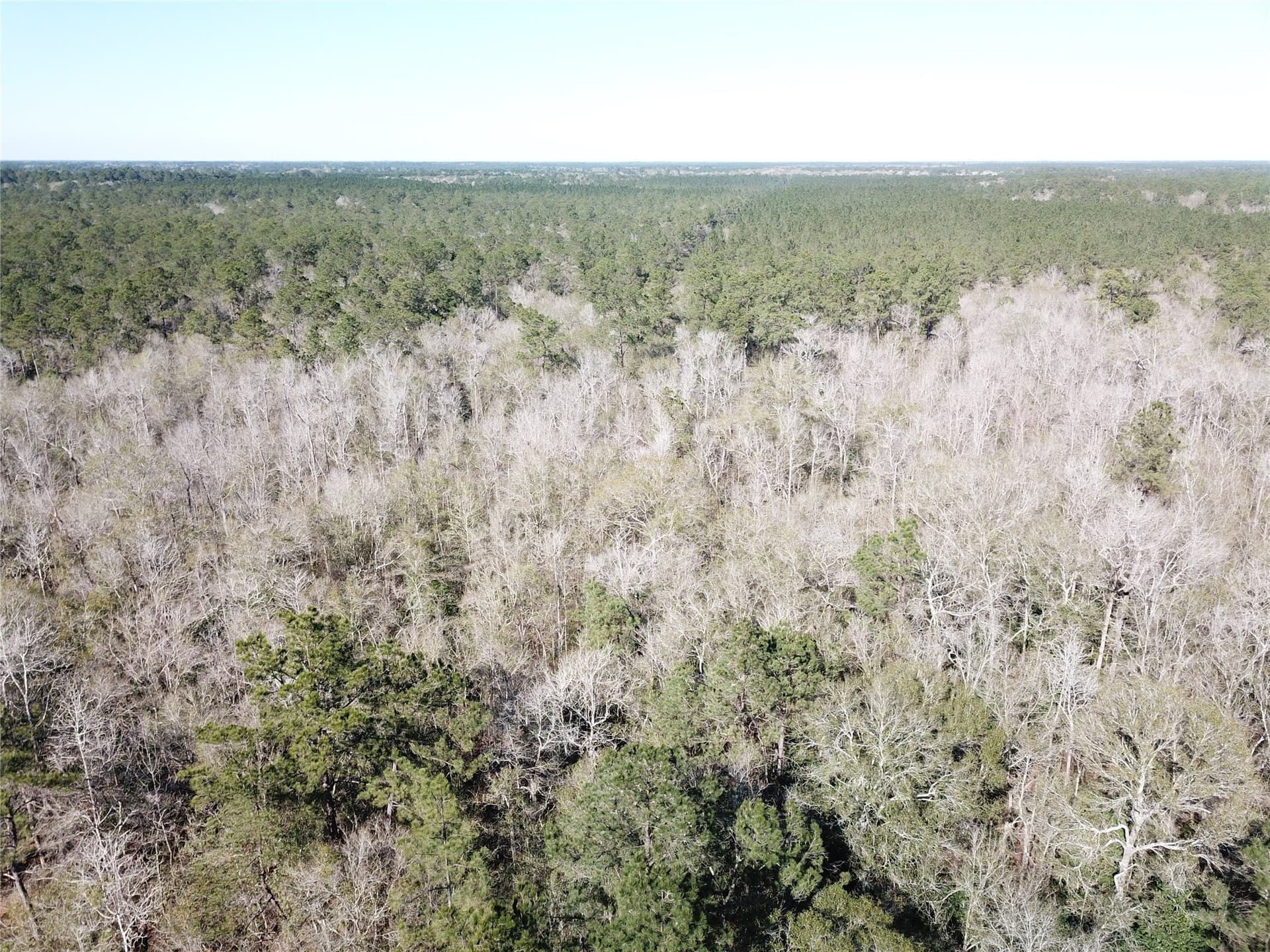 791 acres in Orange County - photo 25