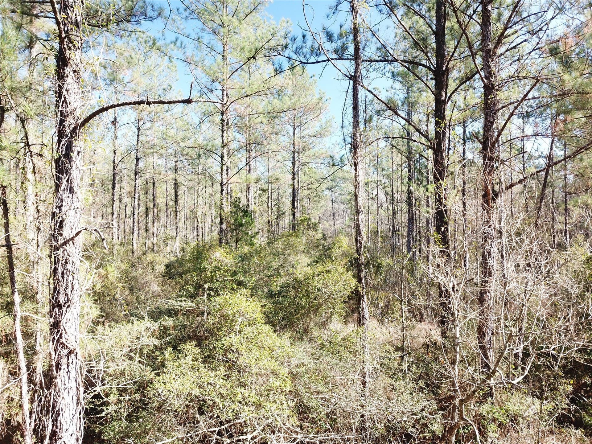 791 acres in Orange County - photo 32
