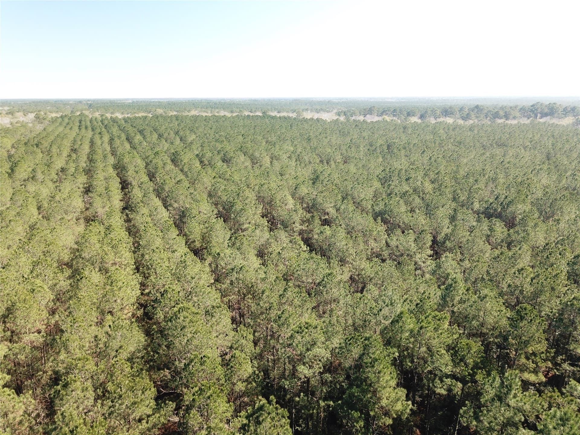 791 acres in Orange County - photo 3