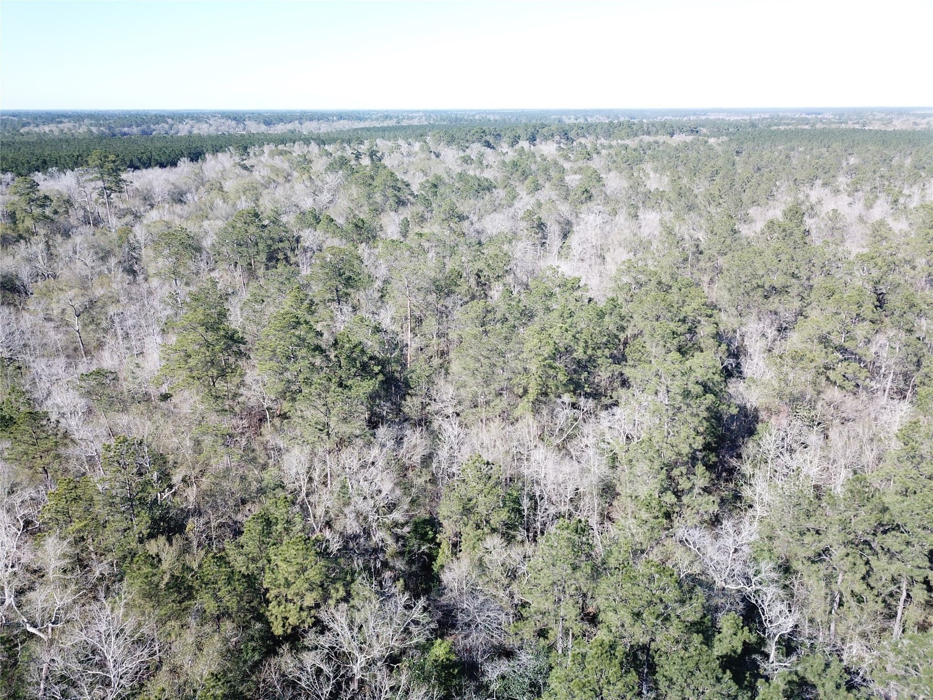 791 acres in Orange County - photo 21